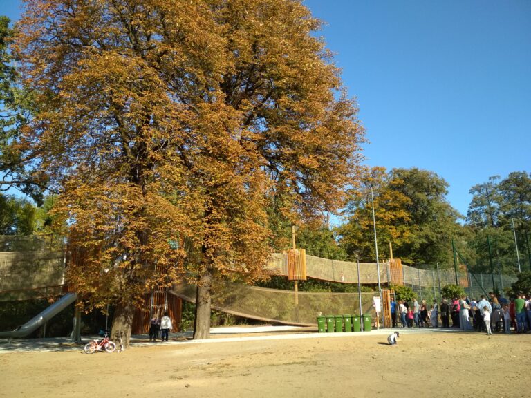 Trasa rowerowa na Dolinę Gęśnika